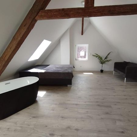 Loft Apartment Am Bahnhof อัลบ์ชตัดท์ ภายนอก รูปภาพ